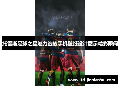 托雷斯足球之星魅力绽放手机壁纸设计展示精彩瞬间 托雷斯足球之星魅力绽放手机壁纸设计展示精彩瞬间