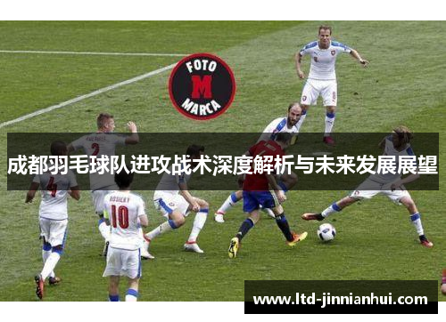 成都羽毛球队进攻战术深度解析与未来发展展望