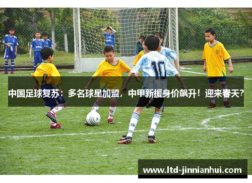 中国足球复苏:多名球星加盟,中甲新援身价飙升!迎来春天? 中国足球复苏:多名球星加盟,中甲新援身价飙升!迎来春天?